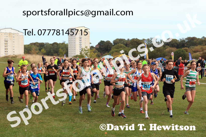 Boys and Girls under-13s, 2025 Farringdon Cross Country Relays, Sunderland. Photo: David T. Hewitson/Sports for All Pics